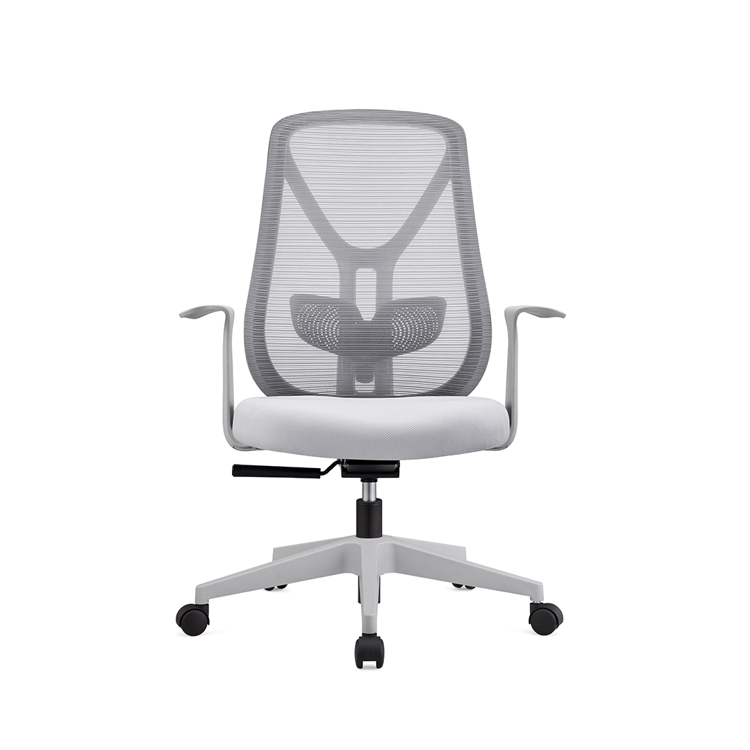 Q310B Grey frame with lumbar support) (1)