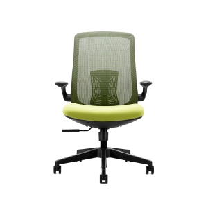 Q201B Black Frame Low Back Chair