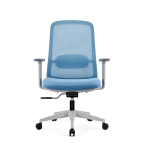 2025 New design low back chair with adjustable lumbar Q322B Grey frame